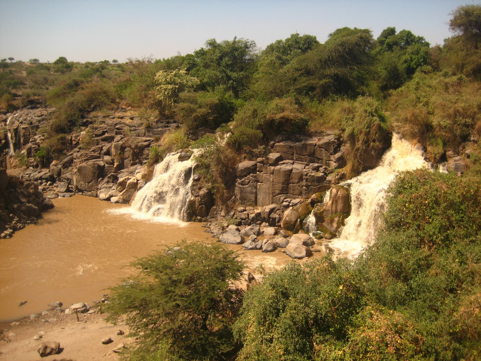 Experience Ethiopia's premier wildlife destination, Awash National Park, with its dramatic Awash River gorge, hot springs, and diverse wildlife including Beisa oryx, kudus, and over 400 bird species i