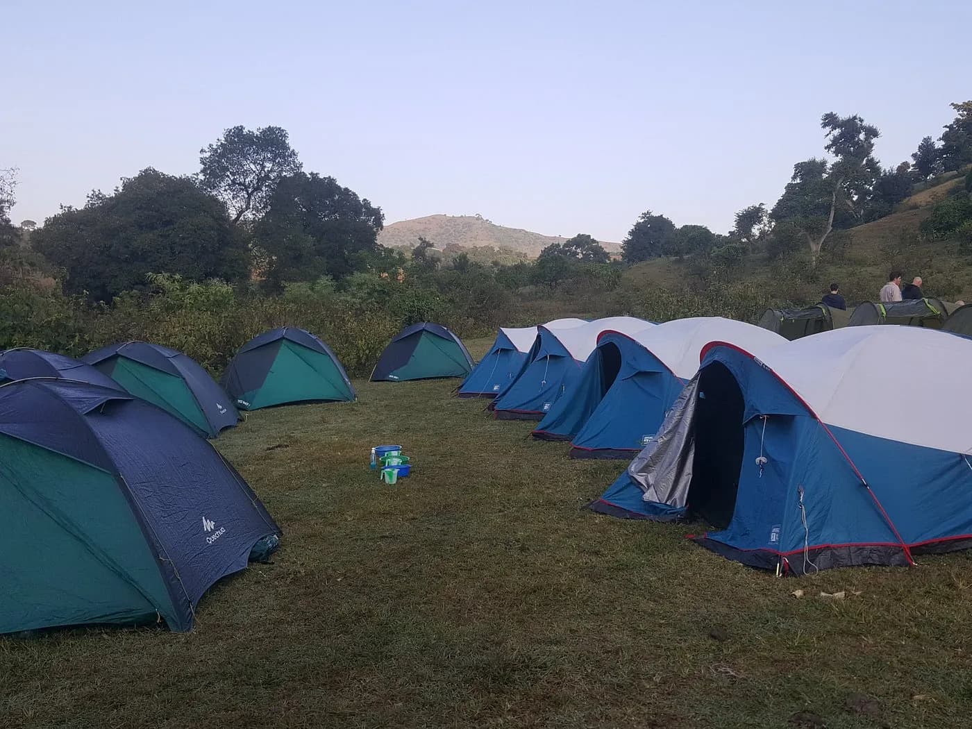 Explore Africa's largest alpine ecosystem in the Bale Mountains, home to the endangered Ethiopian wolf, mountain nyala, and unique Afro-alpine flora across diverse landscapes from cloud forests to the