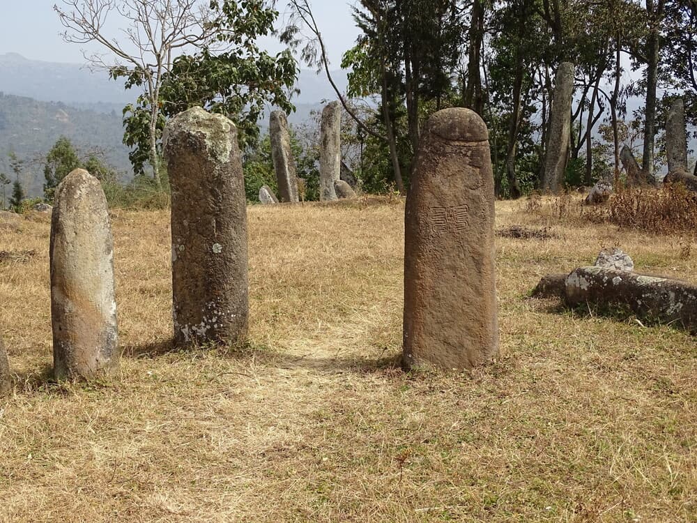 Gedeo - Dilla, Ethiopia Ethiopia, Sacred forests Megalithic sites Traditional agriculture Coffee plantations Biodiversity