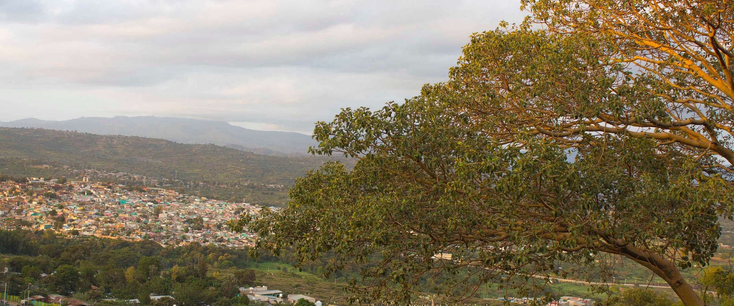 Experience the living Islamic heritage of Harar Jugol, a UNESCO World Heritage site with 82 mosques and 102 shrines, famous for its unique architecture, vibrant markets, and nightly hyena feeding trad