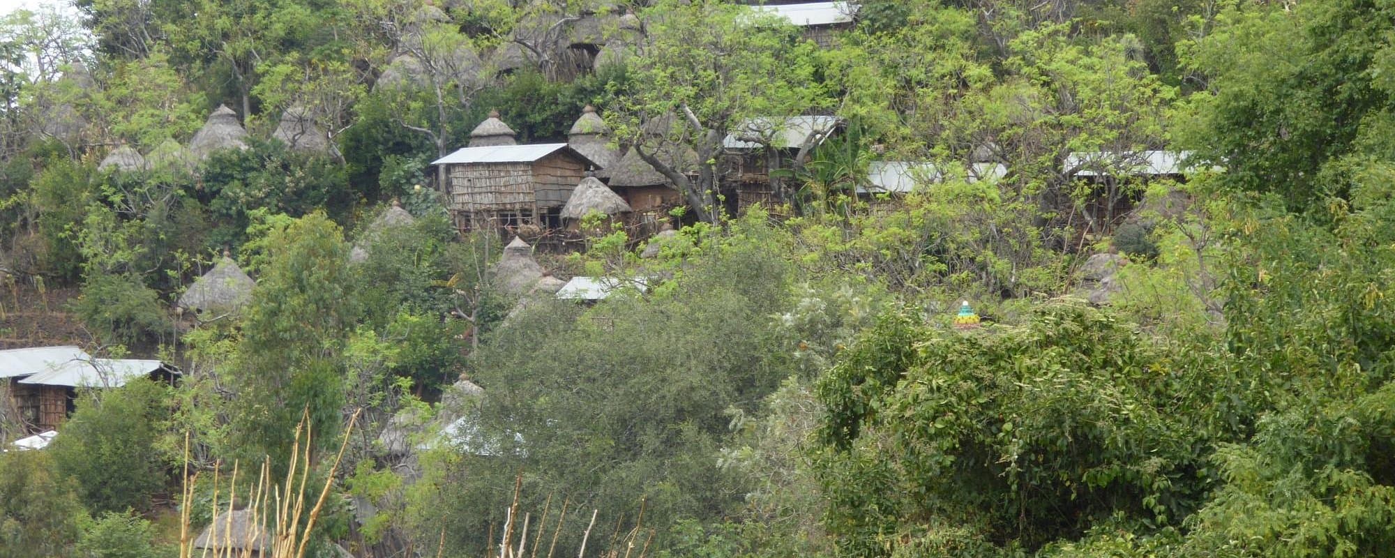 Comprehensive journey through Ethiopia's diverse southern cultures, visiting multiple tribal communities, traditional markets, and UNESCO sites from the Konso terraces to the Dorze people of the highl